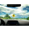 HappyBalls Cancer Birth Sign Car Antenna Topper / Auto Dashboard Accessory (Zodiac)